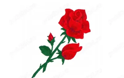 Caut o fata serioasa pt o relatie de durata