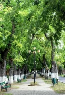 Caut o doamna din iasi pentru o relatie sincera - imagine 2