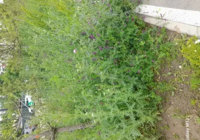 Sunt un baiat am 32 de ani