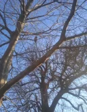 Pentru o relatie de prietenie - imagine 1