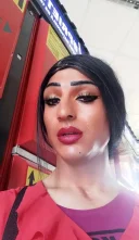 Narcisa deplasari - imagine 1