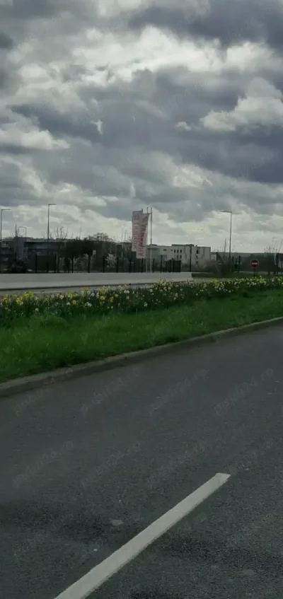 Un tip foarte rezervat