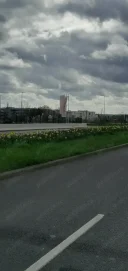 Un tip foarte rezervat - imagine 3