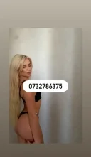 Ofer deplasare am si locatie - imagine 1