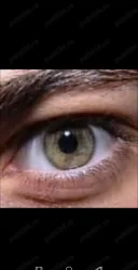 Caut compania unei doamne singure - imagine 1