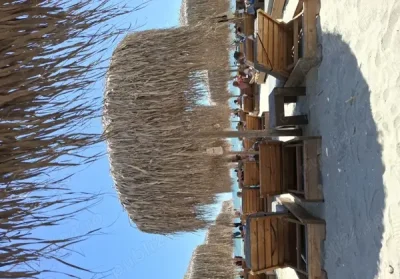 Caut partenera pentru distractie luna iulie detin apartamenr in mamaia nord