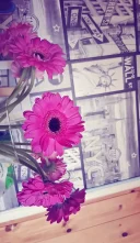 Anais poze reale - imagine 4