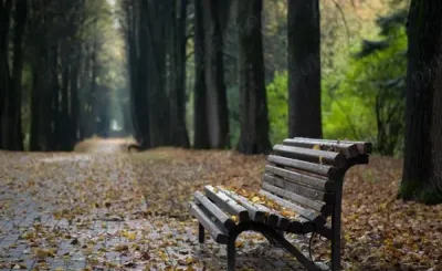 Barbat 28 ani 174 inaltime caut femeie placere reciproca