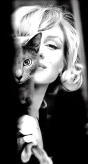 Relatie discreta - imagine 1