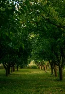 Ești o Doamnă discretă și iți dorești o aventură amoroasă? - imagine 2