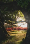 Caut doamnă pentru evadări intime, fără complicații - imagine 1