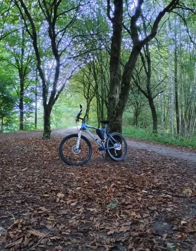 Ignorata plictisita sau doar curioasa nu sunt poet dar pot sa ti scriu seara numele pe inima