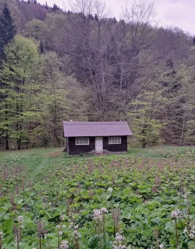 Buna ziua caut o domnisoare sau o doamna pentru distractie