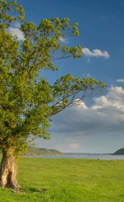 Singuratate plictiseala