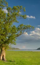 Singuratate plictiseala - imagine 1