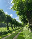 Vorbim despre viata masaj de relaxare masaj dupa preferinte - imagine 1