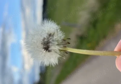 Tanar 23 caut distractie fierbinte si discreta