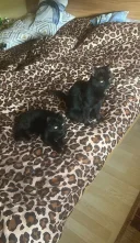 Have fun and pleasure - imagine 1