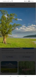 Singuratate plictiseala - imagine 1