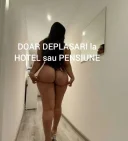 Doar deplasari hotel sau pensiune - imagine 1