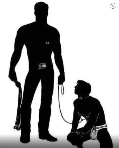 Sclavess for master fac si party la cerere