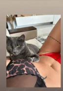 Te astept pe whatsapp la web si videoclipuri - imagine 1