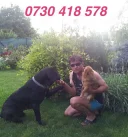 Lasa ma sa fiu sclavul tau - imagine 2