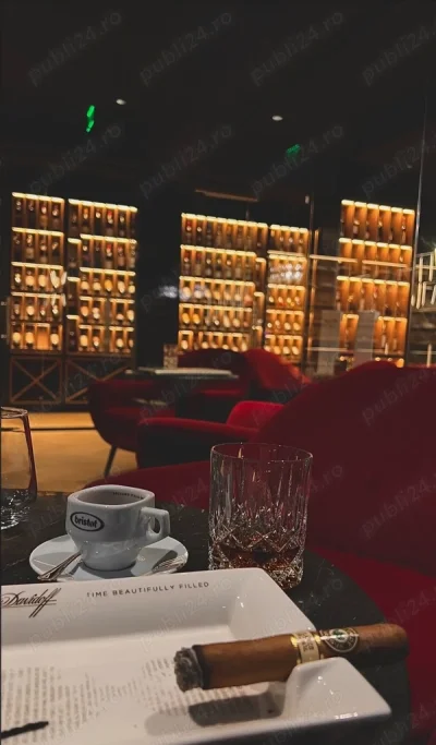 Caut Partenera sau Distractie