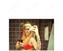 Hot Web Showu )) - imagine 1