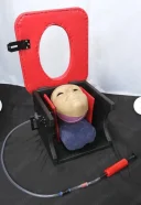 Sclav personal pentru plăcerile doamnei - imagine 1