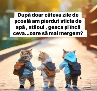 Domn caut doamna serioasa