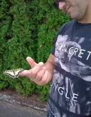 Caut cuplu, fată pt aventură, swing, relație serioasă - imagine 1