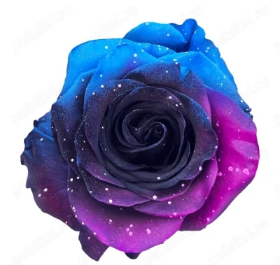 Placere si relaxare pentru doamne si domnisoare