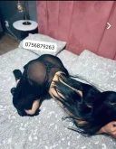 Noua . pentru câteva zile.. - imagine 5