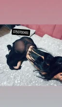 Doar deplasări !! Nouă în oraș la tine!! Party!! - imagine 1