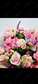 Da mesaj dacă te regăsești! - imagine 1