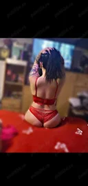 Deplasări la hotel sau pensiune - imagine 2