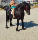 Sunt Johny si sunt aici doar pt tine! - imagine 2