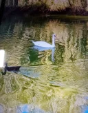 Marius pentru Doamne și Domnișoare tânăr 34 de ani din Iași ofer placeri la domiciliul meu - imagine 2