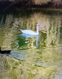 Marius pentru Doamne și Domnișoare tânăr 34 de ani din Iași ofer placeri la domiciliul meu - imagine 3