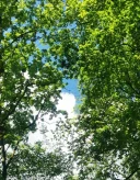 Femeie 40+ - imagine 1