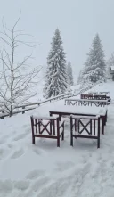 Distractie Reciproc avantajoasa - imagine 1