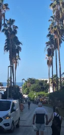 Domn matur - imagine 2