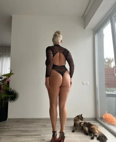 Noua in oras 3 zile la voi