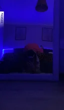 Larissa is back - imagine 3