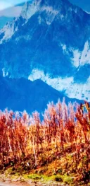 Bărbat discret și foarte curat - imagine 1