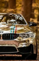 Pentru doamne și domnișoare accept și cupluri - imagine 1