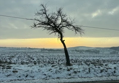 Tanar, caut doua fete pentru aventura vietii