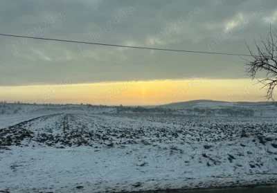 Esti tanara si vrei sa fii tratata ca o printesa?