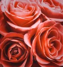 Caut o fata pt relatie discreta - imagine 1